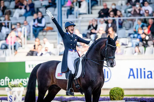 The-Chronicle-of-the-Horse-Jorst-Powers-Down-Nintendo-While-Prepping-His-Successors Kastel Denmark US