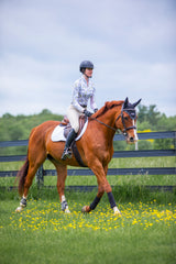 Yellow Wild Poppies Long Sleeve 1/4 Zip Sun Shirt With Trim - [Kastel]