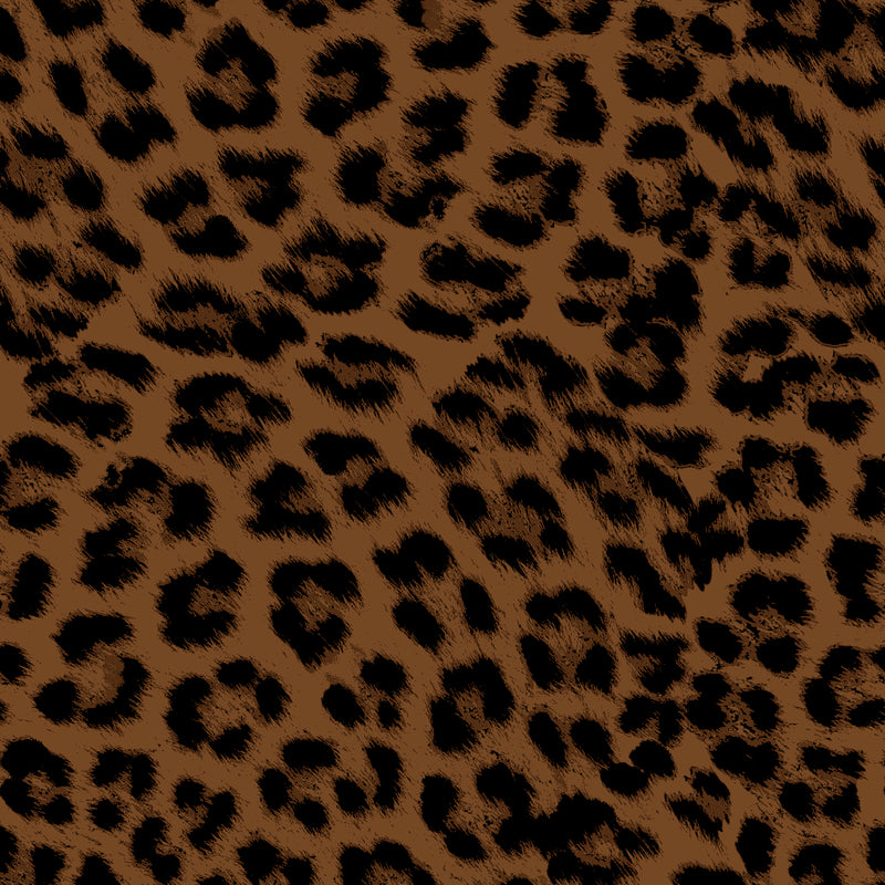 Espresso Leopard Track Jacket - [Kastel]