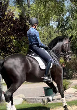 French Blue Regal Palm Long Sleeve 1/4 Zip Sun Shirt